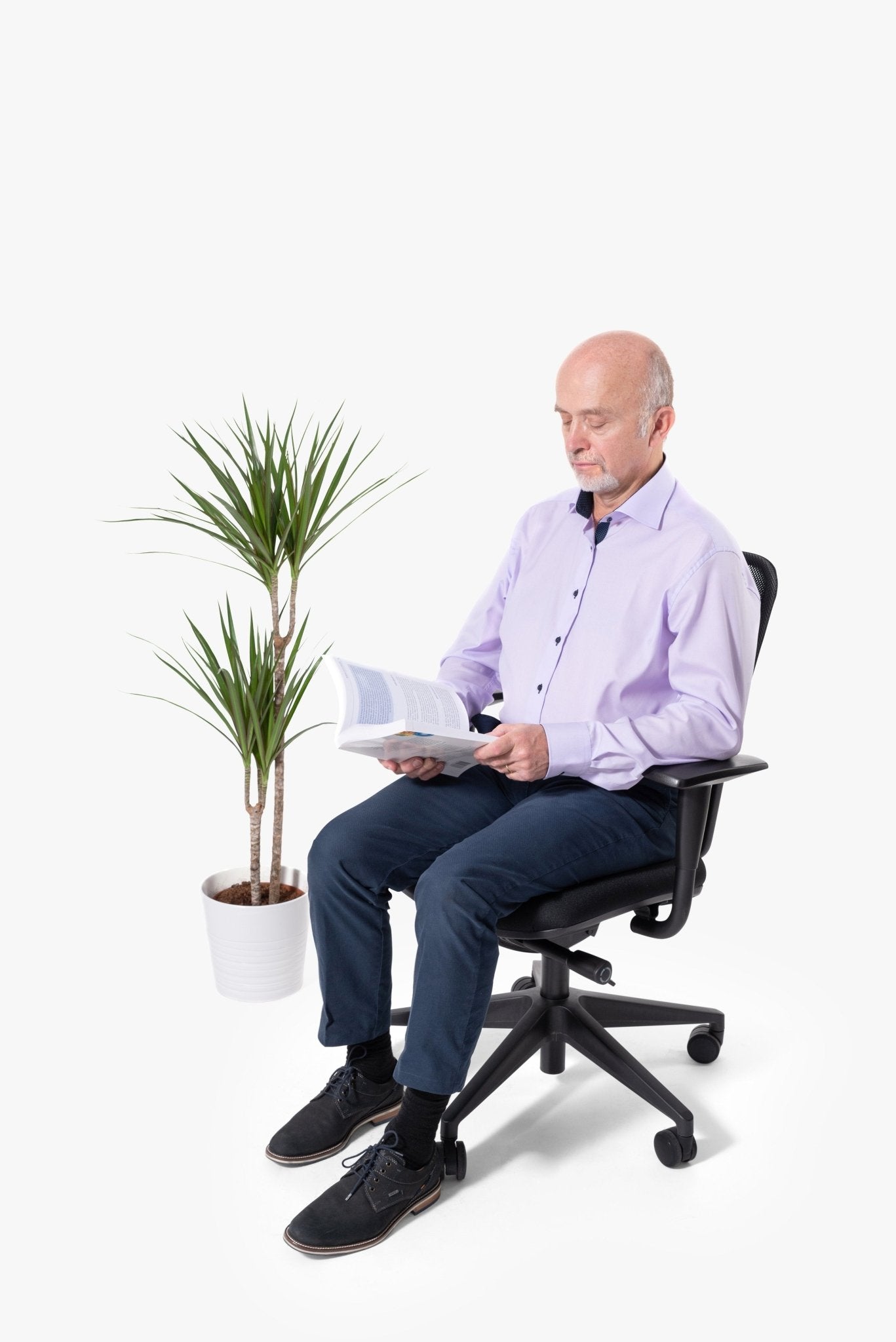 123HomeOffice - Karl Design - OFFICE CHAIRS - 5 Jahre Produktgarantie - Geprüft und nach Europäischen Standards Zertifiziert NEN - EN 1335 - 123HomeOffice