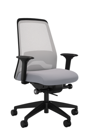 Interstuhl Every Active PLUS Edition #10 (EV 266)